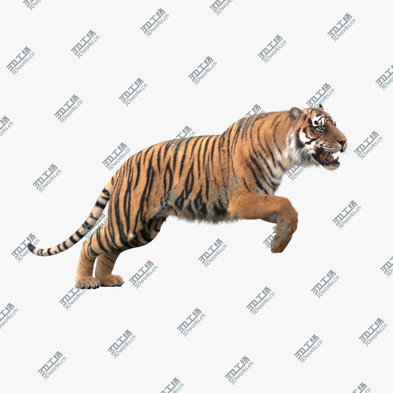 images/goods_img/20210113/3D Tiger Animated (Fur) model/1.jpg